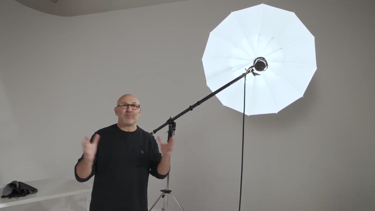 Side profile of deep focus umbrella showing its curved parabolic shape