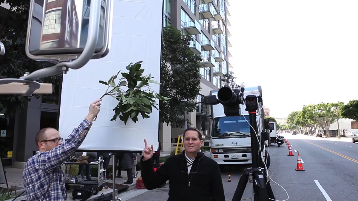 Assistant holding tree branch to interrupt chrome reflection