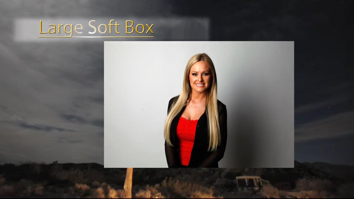 Subject lit with small softbox showing defined facial shadows