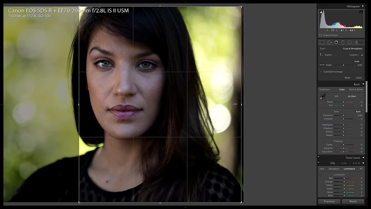 Cropped portrait showing face-only histogram skewed left
